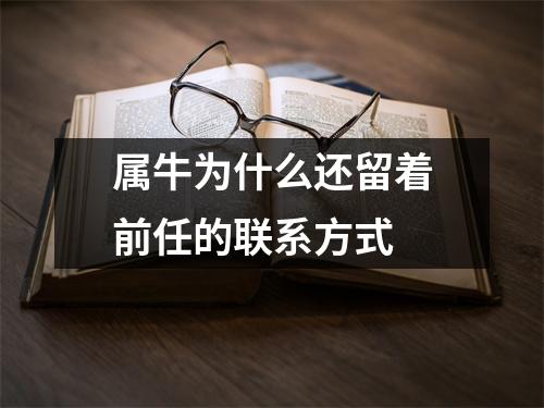 属牛为什么还留着前任的联系方式