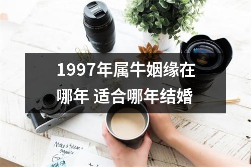 <h3>1997年属牛姻缘在哪年适合哪年结婚
