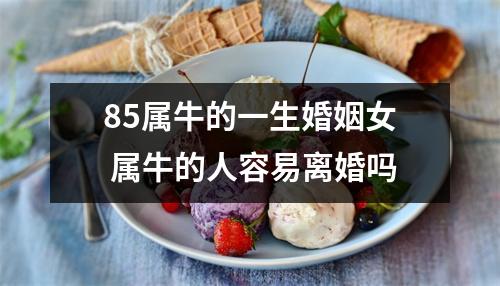 <h3>85属牛的一生婚姻女属牛的人容易离婚吗