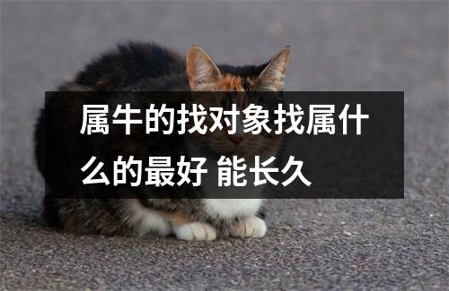 <h3>属牛的找对象找属什么的好能长久