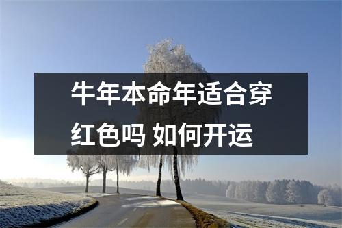 <h3>牛年本命年适合穿红色吗如何开运