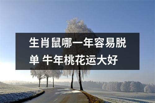 <h3>生肖鼠哪一年容易脱单牛年桃花运大好
