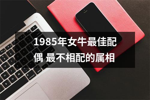 <h3>1985年女牛佳配偶不相配的属相