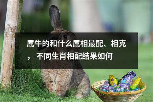 <h3>属牛的和什么属相配、相克，不同生肖相配结果如何