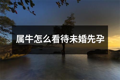 <h3>属牛怎么看待未婚先孕