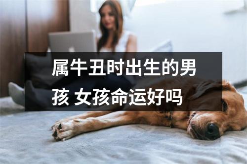 <h3>属牛丑时出生的男孩女孩命运好吗