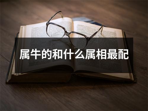 <h3>属牛的和什么属相配