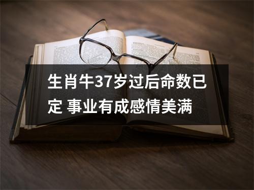 <h3>生肖牛37岁过后命数已定事业有成感情美满