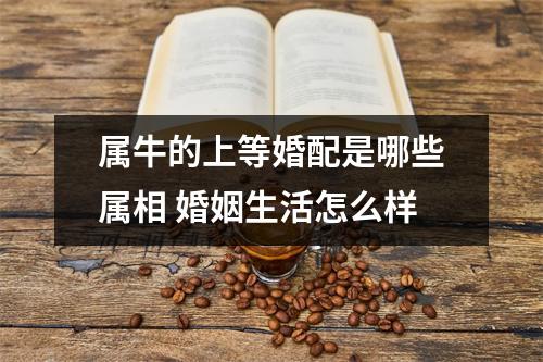 属牛的上等婚配是哪些属相婚姻生活怎么样