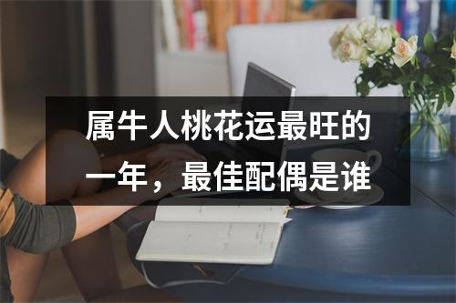 <h3>属牛人桃花运旺的一年，佳配偶是谁