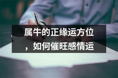 <h3>属牛的正缘运方位，如何催旺感情运