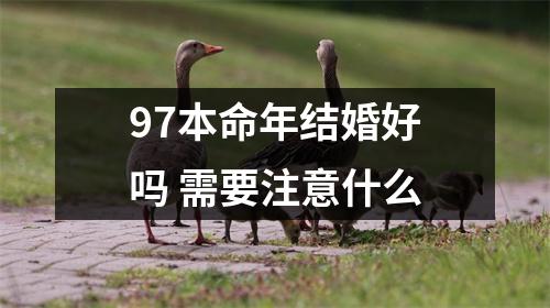 <h3>97本命年结婚好吗需要注意什么