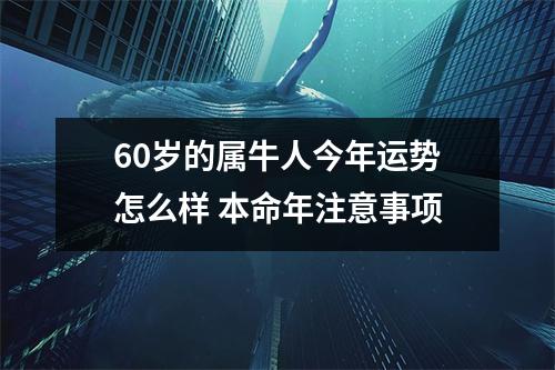 <h3>60岁的属牛人今年运势怎么样本命年注意事项