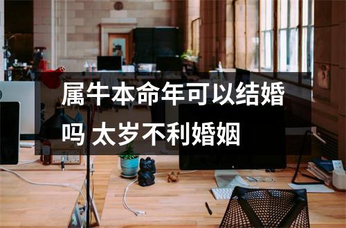 <h3>属牛本命年可以结婚吗太岁不利婚姻