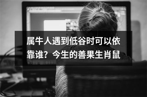 <h3>属牛人遇到低谷时可以依靠谁？今生的善果生肖鼠