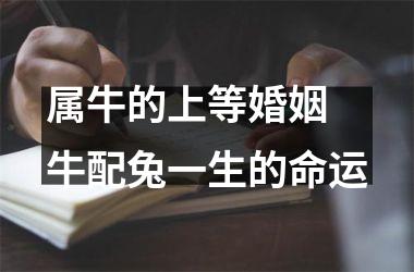 <h3>属牛的上等婚姻 牛配兔一生的命运