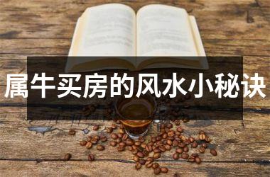 <h3>属牛买房的风水小秘诀