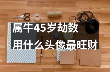 <h3>属牛45岁劫数 用什么头像旺财