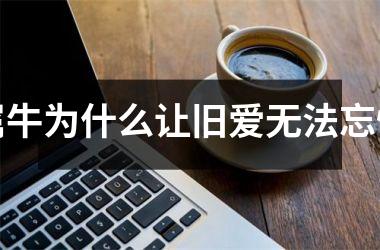 <h3>属牛为什么让旧爱无法忘怀