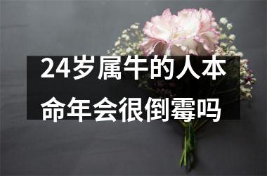 <h3>24岁属牛的人本命年会很倒霉吗