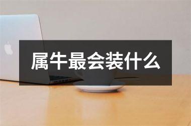 <h3>属牛会装什么