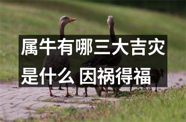 <h3>属牛有哪三大吉灾是什么 因祸得福