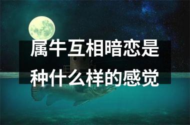 <h3>属牛互相暗恋是种什么样的感觉