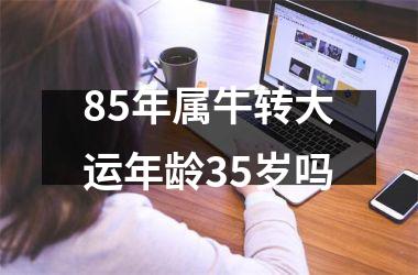 <h3>85年属牛转大运年龄35岁吗