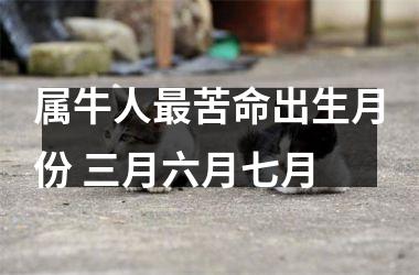<h3>属牛人苦命出生月份 三月六月七月