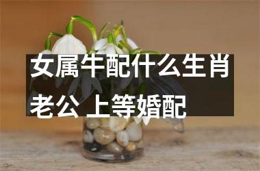 <h3>女属牛配什么生肖老公 上等婚配