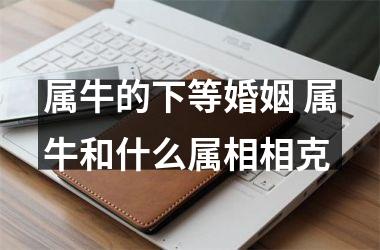 <h3>属牛的下等婚姻 属牛和什么属相相克