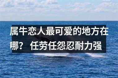 <h3>属牛恋人可爱的地方在哪？ 任劳任怨忍耐力强