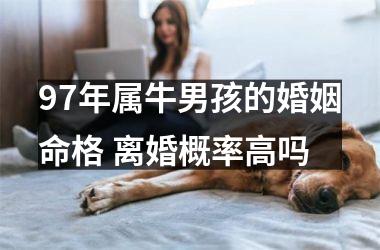 <h3>97年属牛男孩的婚姻命格 离婚概率高吗