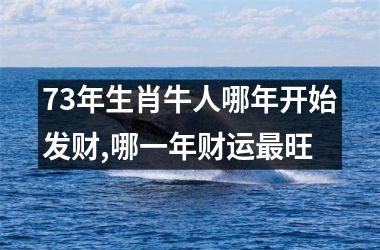 73年生肖牛人哪年开始发财,哪一年财运旺