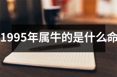1995年属牛的是什么命