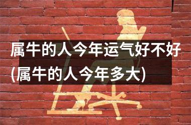 属牛的人今年运气好不好(属牛的人今年多大)