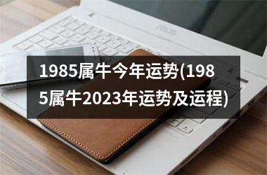 <h3>1985属牛今年运势(1985属牛2025年运势及运程)