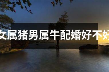 <h3>女属猪男属牛配婚好不好