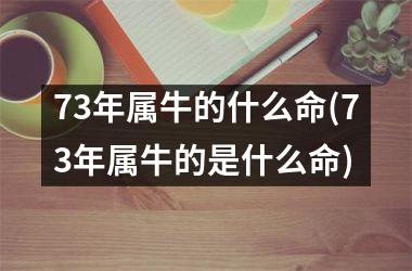 <h3>73年属牛的什么命(73年属牛的是什么命)