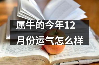 <h3>属牛的今年12月份运气怎么样