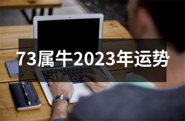 <h3>73属牛2025年运势
