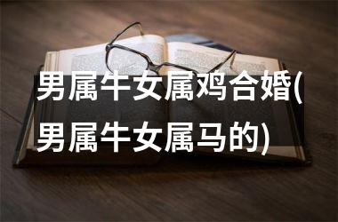 <h3>男属牛女属鸡合婚(男属牛女属马的)