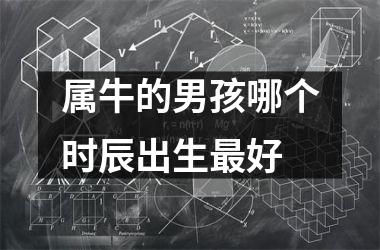 <h3>属牛的男孩哪个时辰出生好