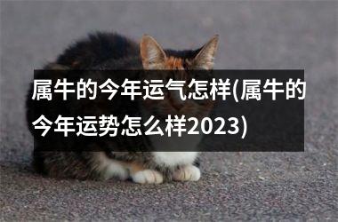 <h3>属牛的今年运气怎样(属牛的今年运势怎么样2025)