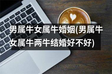 <h3>男属牛女属牛婚姻(男属牛女属牛两牛结婚好不好)