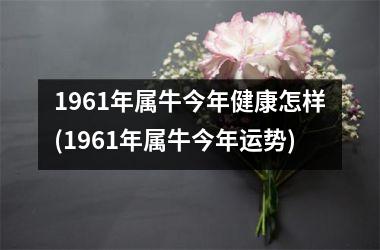 <h3>1961年属牛今年健康怎样(1961年属牛今年运势)