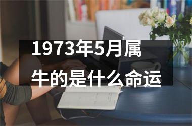 <h3>1973年5月属牛的是什么命运