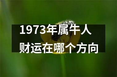 <h3>1973年属牛人财运在哪个方向
