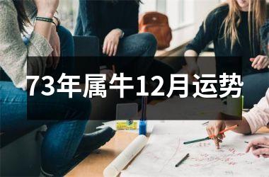 <h3>73年属牛12月运势
