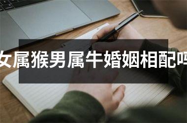 <h3>女属猴男属牛婚姻相配吗